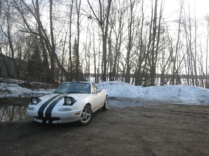 Name:  Picture011-1.jpg
Views: 103
Size:  162.5 KB