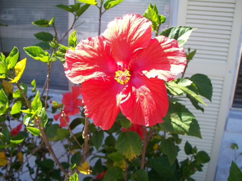 Name:  100_0842.jpg
Views: 48
Size:  94.7 KB