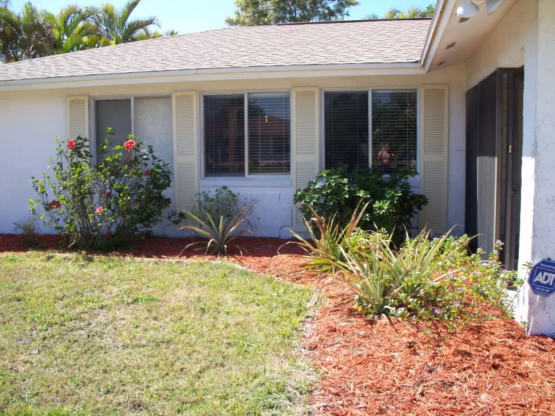 Name:  100_0843.jpg
Views: 49
Size:  167.3 KB