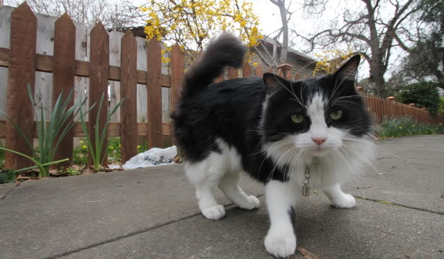 Name:  IMG_0196.jpg
Views: 94
Size:  69.7 KB