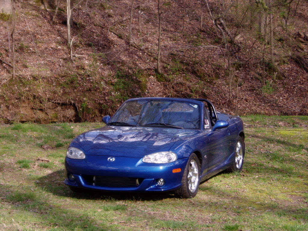 Name:  P1010029.jpg
Views: 109
Size:  170.4 KB