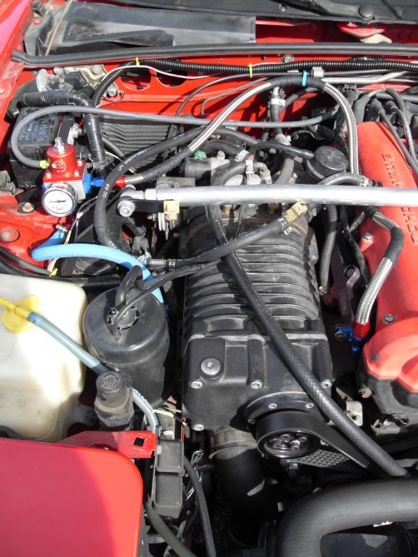 Name:  SDC10688.jpg
Views: 418
Size:  93.0 KB