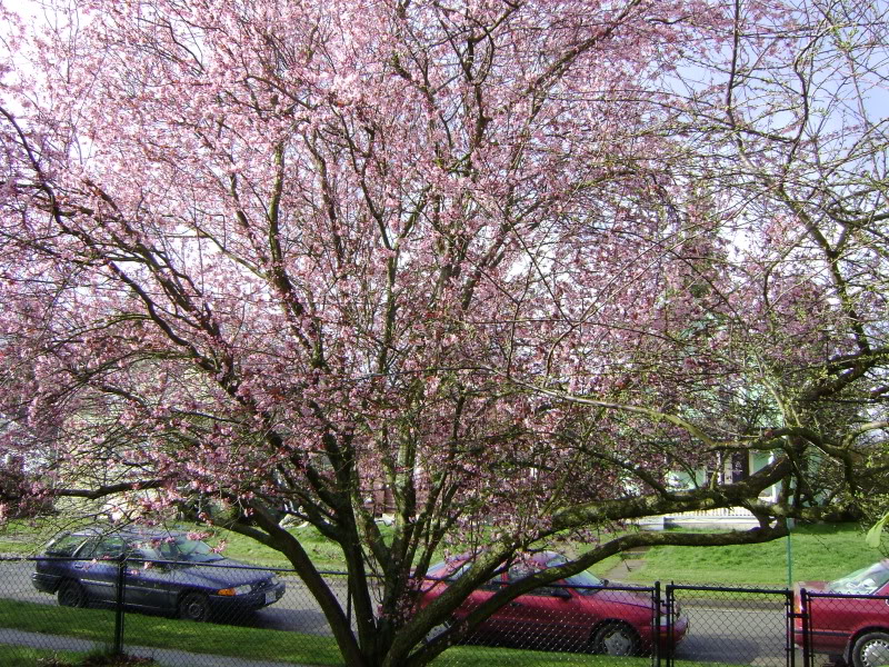 Name:  DSC01724.jpg
Views: 70
Size:  272.0 KB