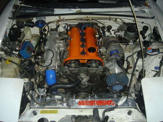 Name:  DSC07155.jpg
Views: 57
Size:  99.5 KB