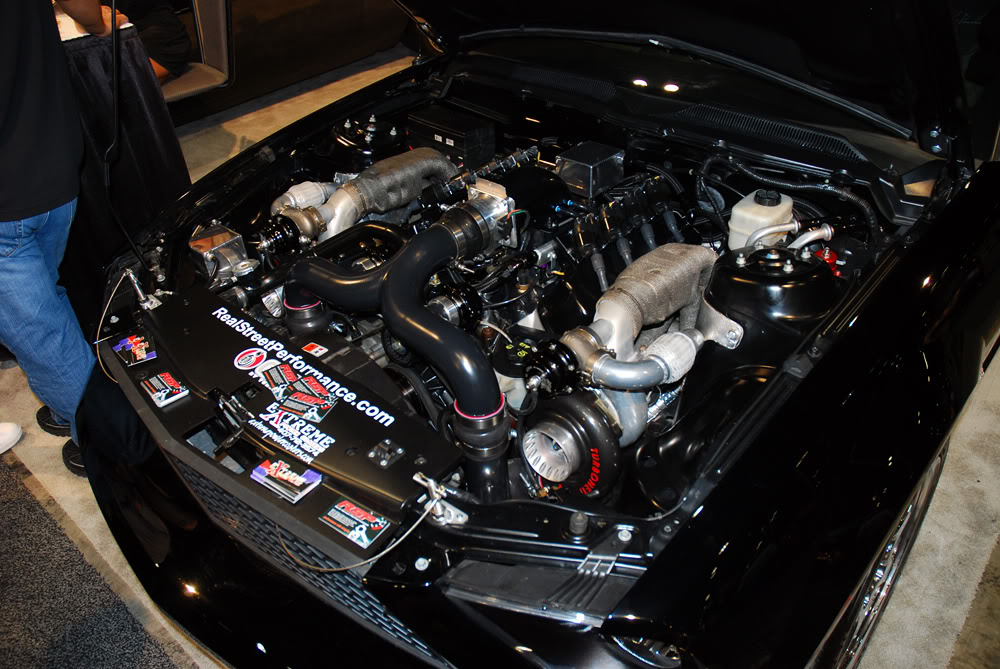 Name:  DSC_3308.jpg
Views: 79
Size:  155.5 KB