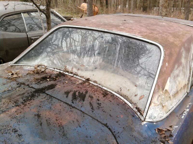 Name:  Photo-0102.jpg
Views: 115
Size:  85.3 KB