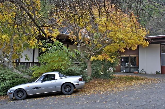 Name:  IMG_0902-1.jpg
Views: 119
Size:  122.9 KB