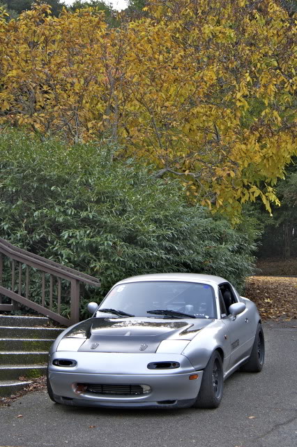 Name:  IMG_0909-1.jpg
Views: 125
Size:  110.9 KB