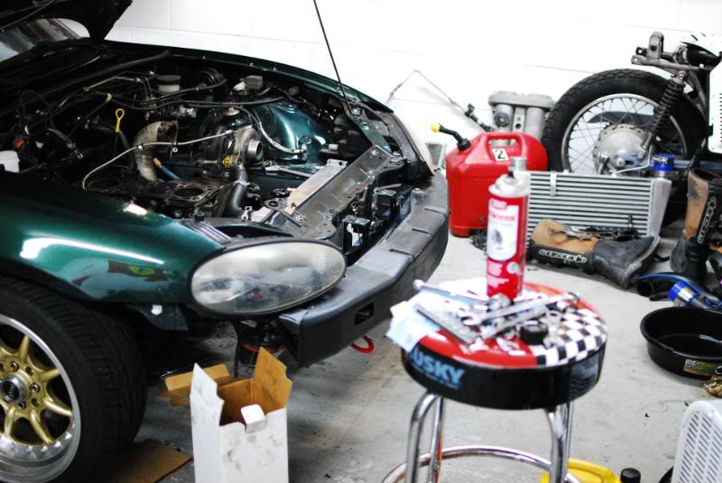 Name:  DSC_5867.jpg
Views: 310
Size:  79.7 KB