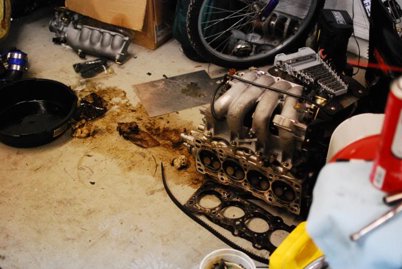 Name:  DSC_5868.jpg
Views: 216
Size:  75.5 KB