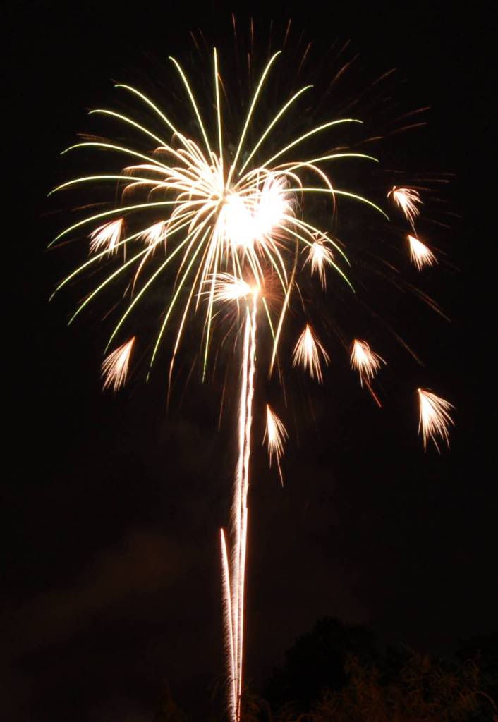 Name:  FW11.jpg
Views: 96
Size:  51.1 KB