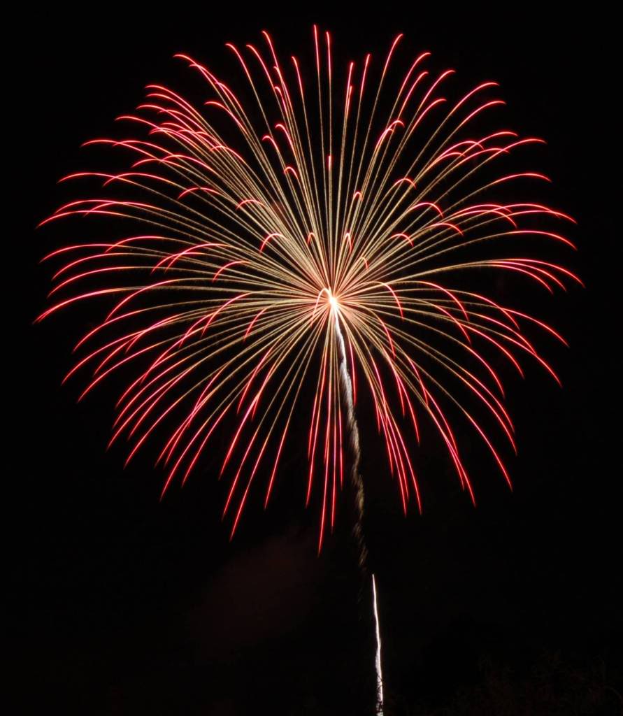 Name:  FW13.jpg
Views: 55
Size:  94.5 KB