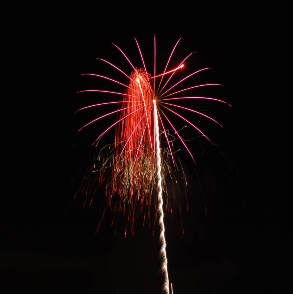 Name:  FW.jpg
Views: 47
Size:  49.6 KB