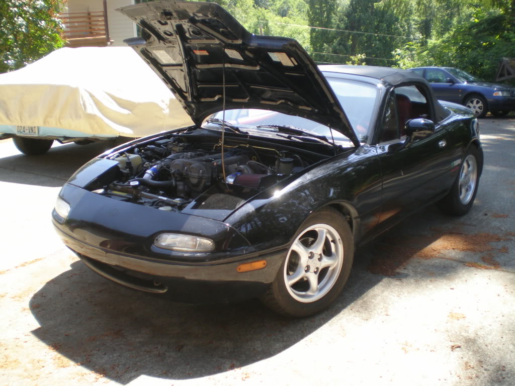 Name:  P6280084.jpg
Views: 115
Size:  162.6 KB