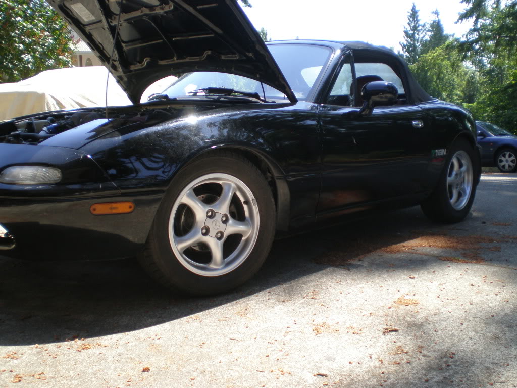 Name:  P6280085.jpg
Views: 98
Size:  180.5 KB