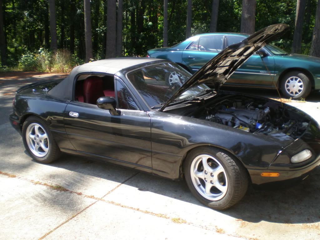 Name:  P6280087.jpg
Views: 94
Size:  179.3 KB