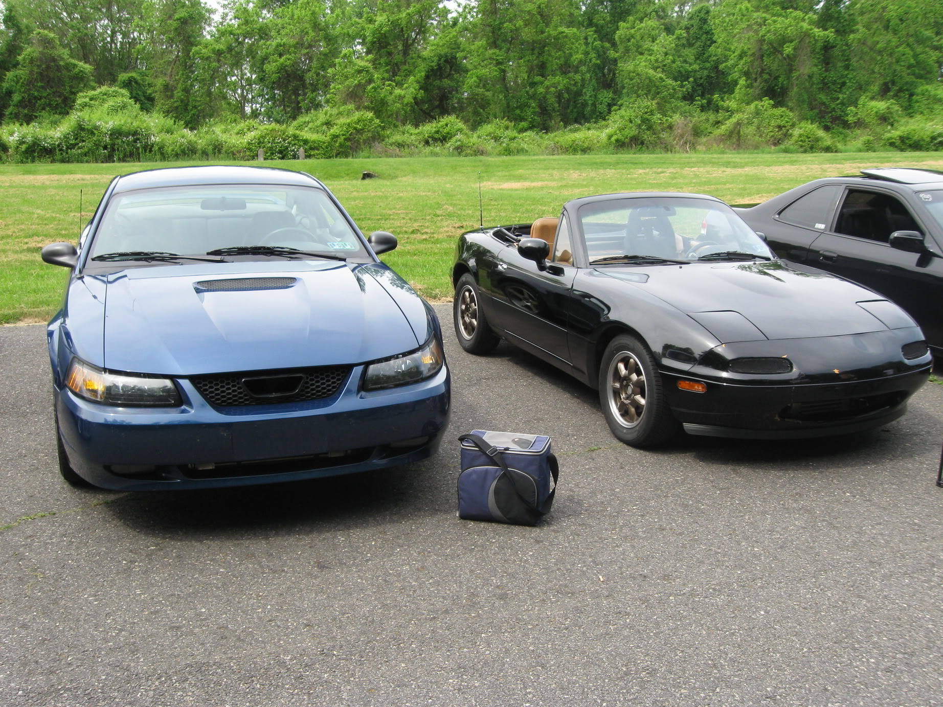 Name:  IMG_0895.jpg
Views: 57
Size:  664.6 KB