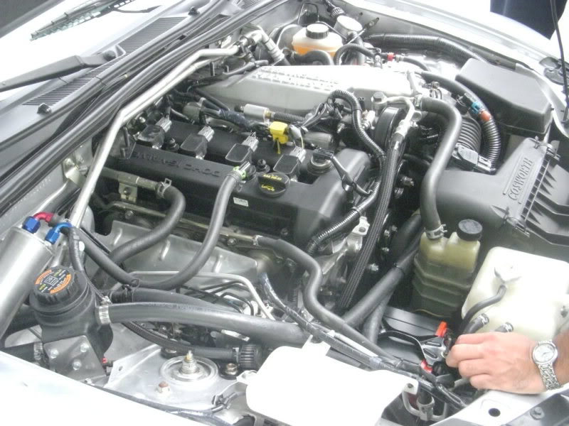 Name:  DSCN2295.jpg
Views: 61
Size:  91.6 KB