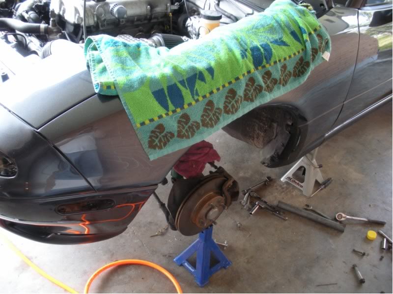 Name:  DSCN0118800x600.jpg
Views: 167
Size:  86.7 KB