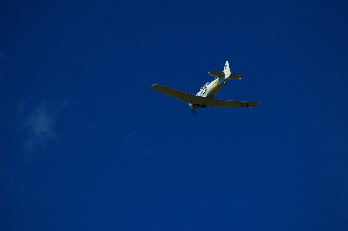 Name:  AS12.jpg
Views: 41
Size:  416.5 KB