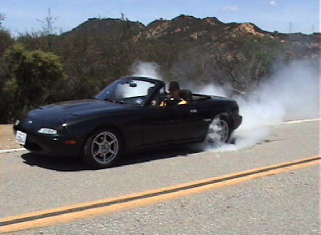 Name:  birninout.jpg
Views: 62
Size:  41.6 KB