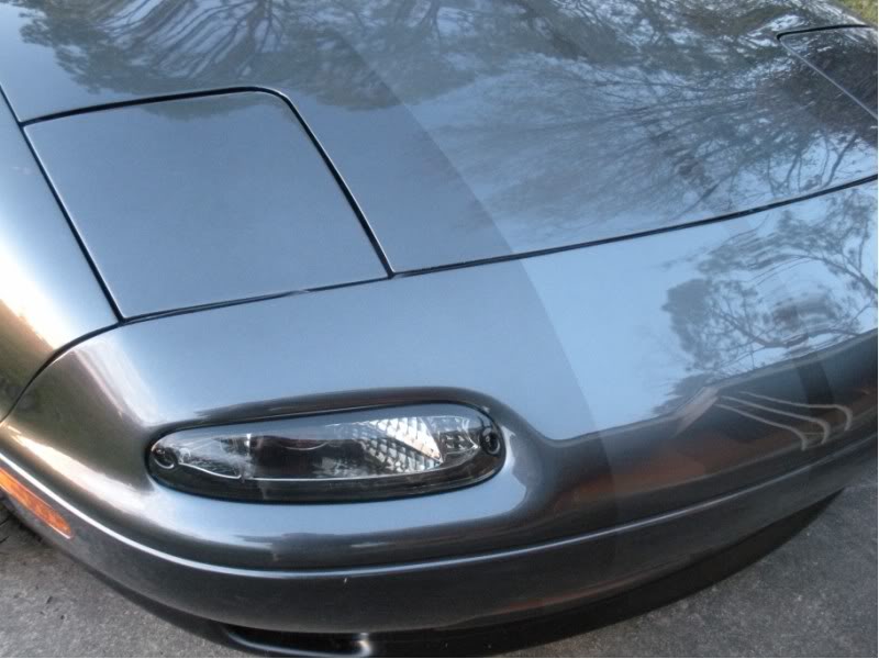 Name:  DSCN0116800x600.jpg
Views: 578
Size:  68.7 KB