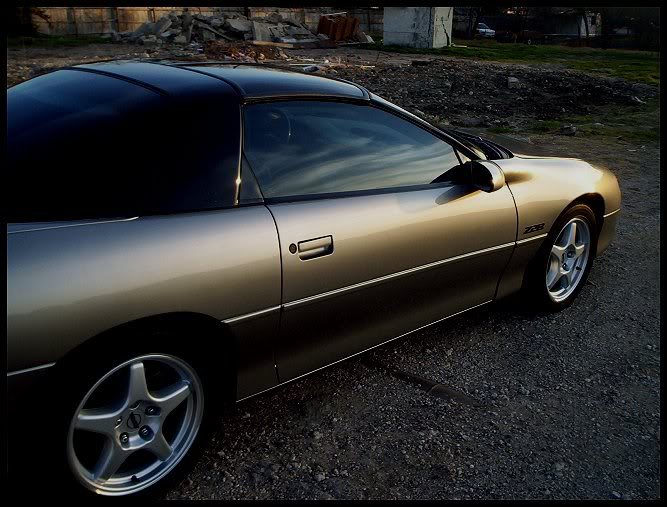 Name:  Mattswaxing.jpg
Views: 48
Size:  69.3 KB