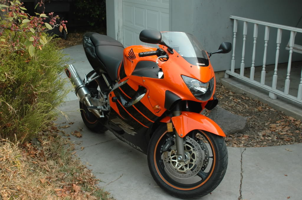 Name:  DSC_8424.jpg
Views: 329
Size:  182.7 KB