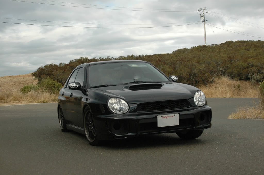 Name:  DSC_4138_edited.jpg
Views: 317
Size:  93.1 KB