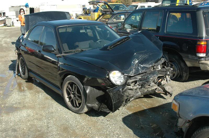 Name:  DSC_4563.jpg
Views: 279
Size:  81.2 KB