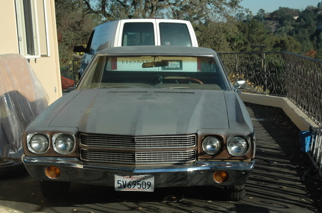 Name:  DSC_6489.jpg
Views: 279
Size:  165.5 KB