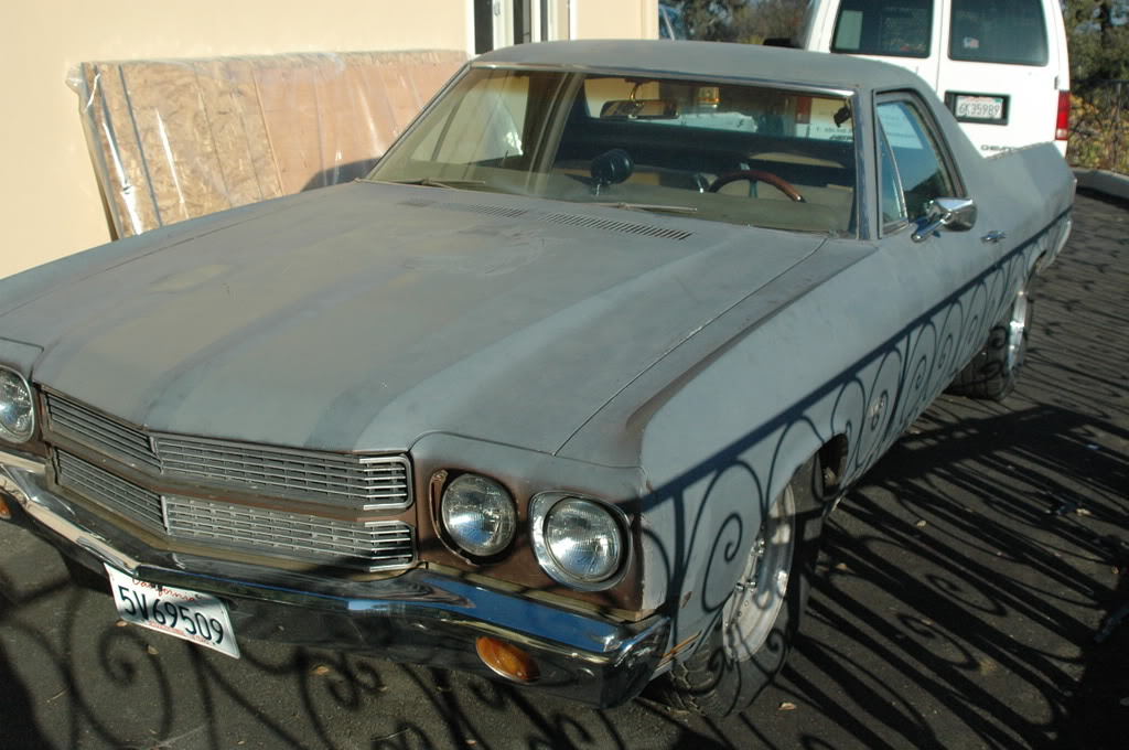 Name:  DSC_6490.jpg
Views: 227
Size:  142.9 KB