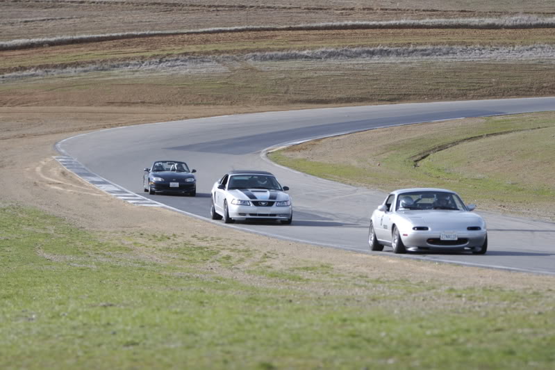 Name:  _MG_8998.jpg
Views: 92
Size:  76.1 KB