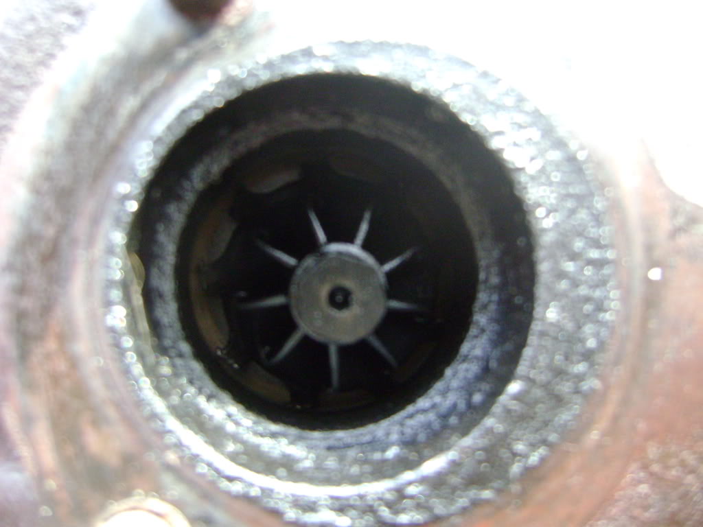 Name:  DSC00949.jpg
Views: 58
Size:  86.4 KB