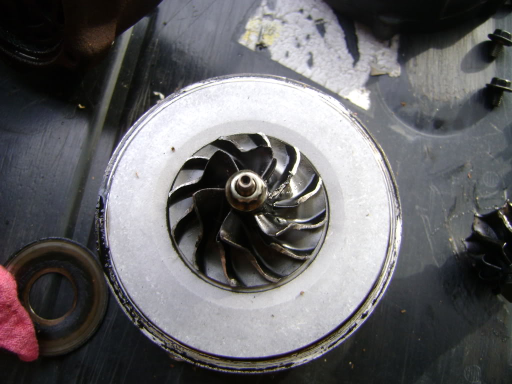 Name:  DSC00951.jpg
Views: 58
Size:  119.6 KB