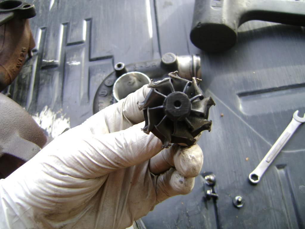 Name:  DSC00952.jpg
Views: 53
Size:  100.9 KB