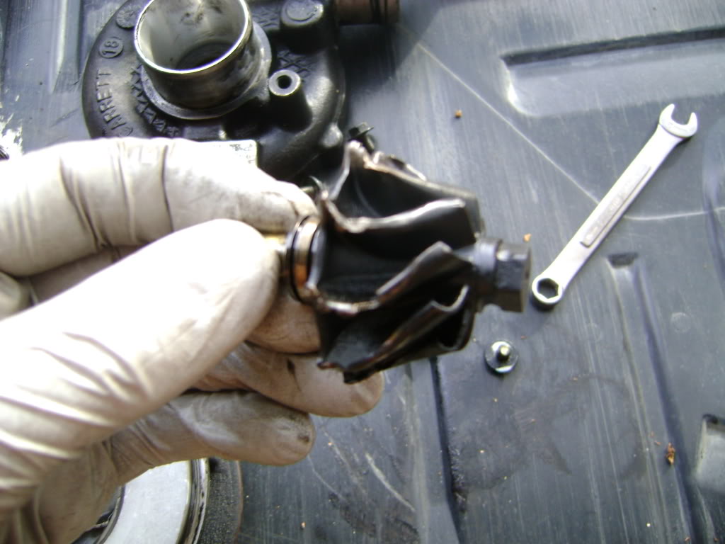 Name:  DSC00953.jpg
Views: 57
Size:  98.5 KB