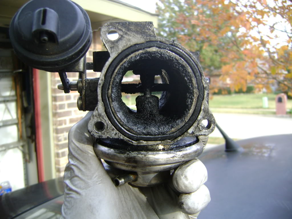 Name:  DSC00957.jpg
Views: 55
Size:  136.6 KB