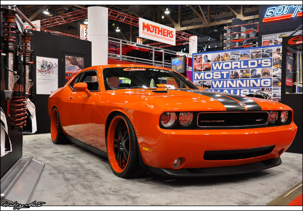 Name:  p685693082.jpg
Views: 62
Size:  175.5 KB