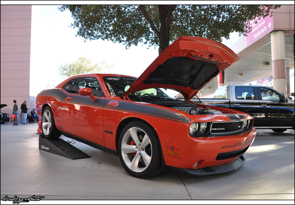 Name:  p1028062638.jpg
Views: 72
Size:  153.6 KB