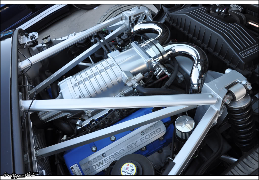 Name:  p918964241.jpg
Views: 61
Size:  142.7 KB