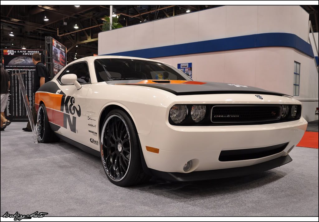 Name:  p893741344.jpg
Views: 49
Size:  128.7 KB