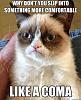Better off here?-49610-grumpy-cat-why-dont-you-slip-i-oq0l.jpeg
