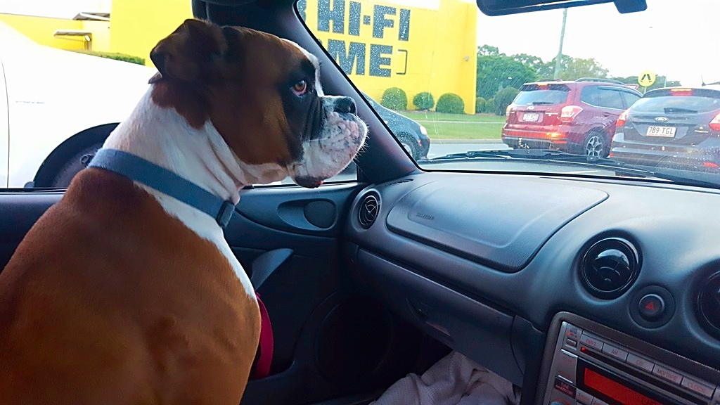 Name:  5b23411b-d701-426a-a105-2b1892ab42a4.jpg
Views: 114
Size:  384.0 KB