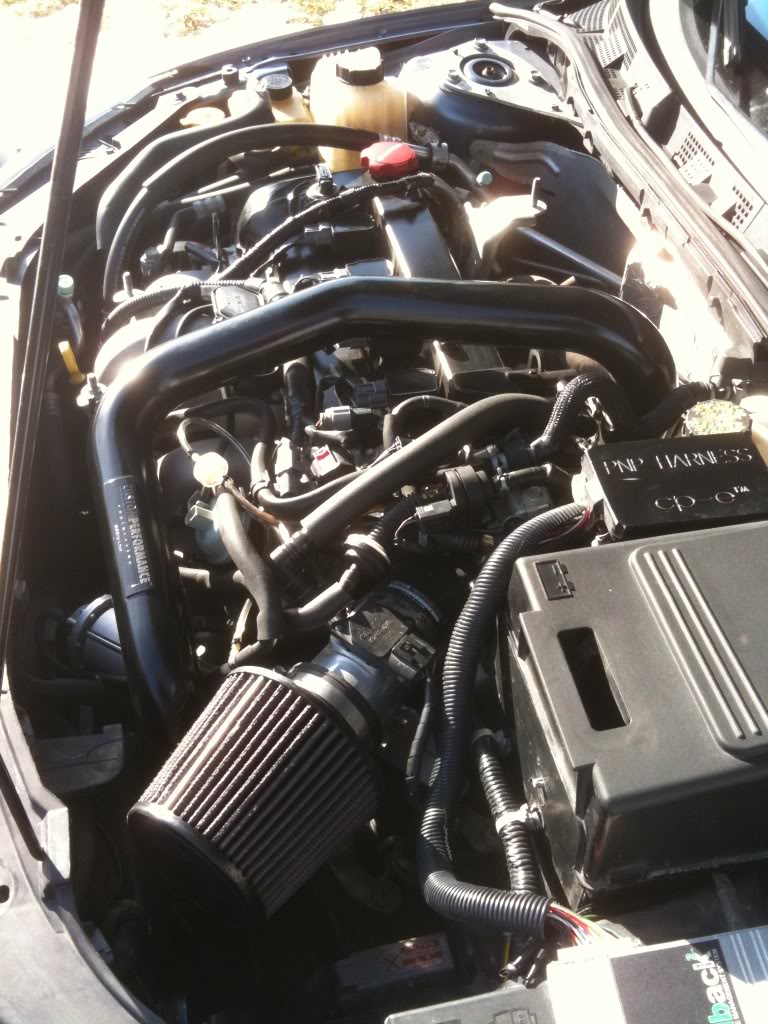 Name:  IMG_0731.jpg
Views: 98
Size:  157.4 KB