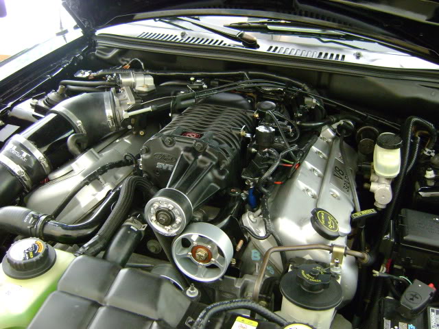 Name:  DSC04863.jpg
Views: 52
Size:  110.4 KB