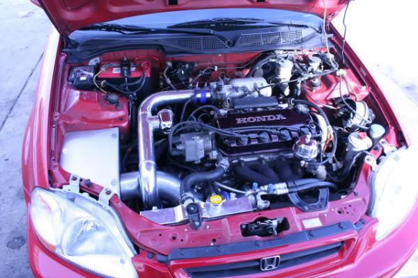 Name:  Picture031.jpg
Views: 3033
Size:  67.4 KB