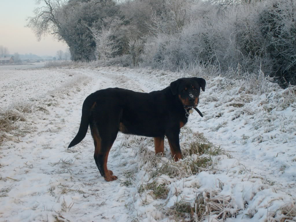 Name:  029.jpg
Views: 57
Size:  176.7 KB