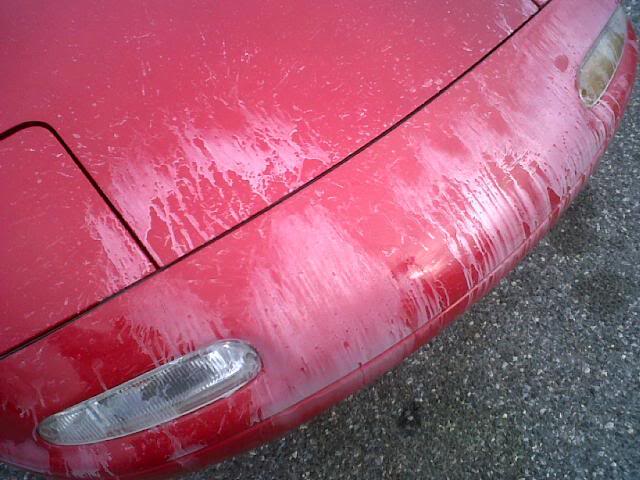 Name:  IMG00011-20101123-1334.jpg
Views: 34
Size:  53.3 KB