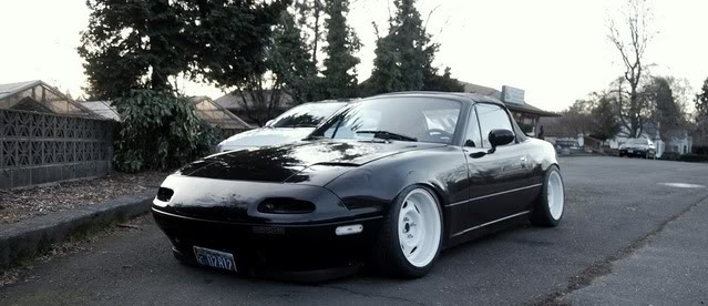 Name:  DSC_0172-1-1.jpg
Views: 48
Size:  47.0 KB